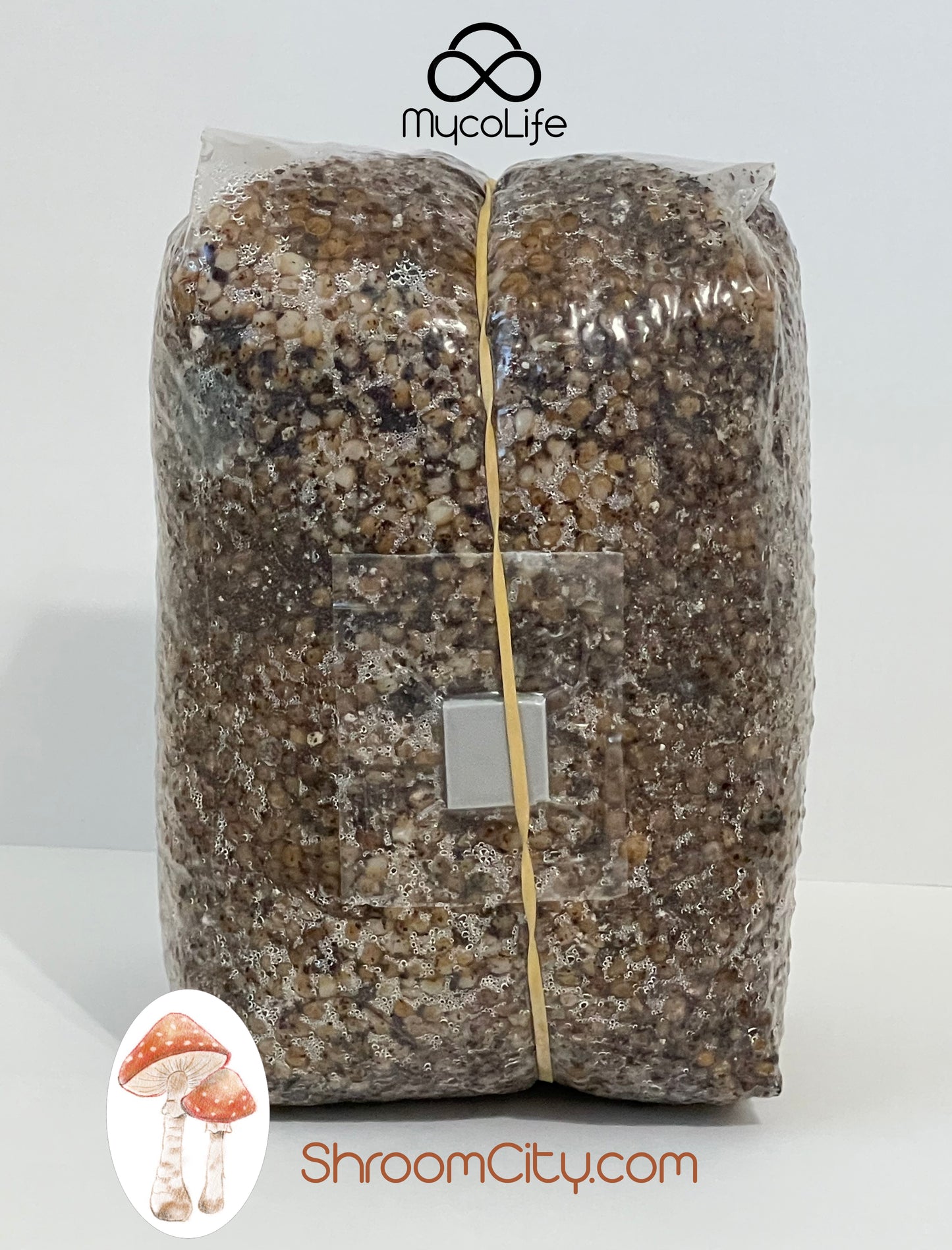 Mushroom Grow Kit - Spawn and Substrate